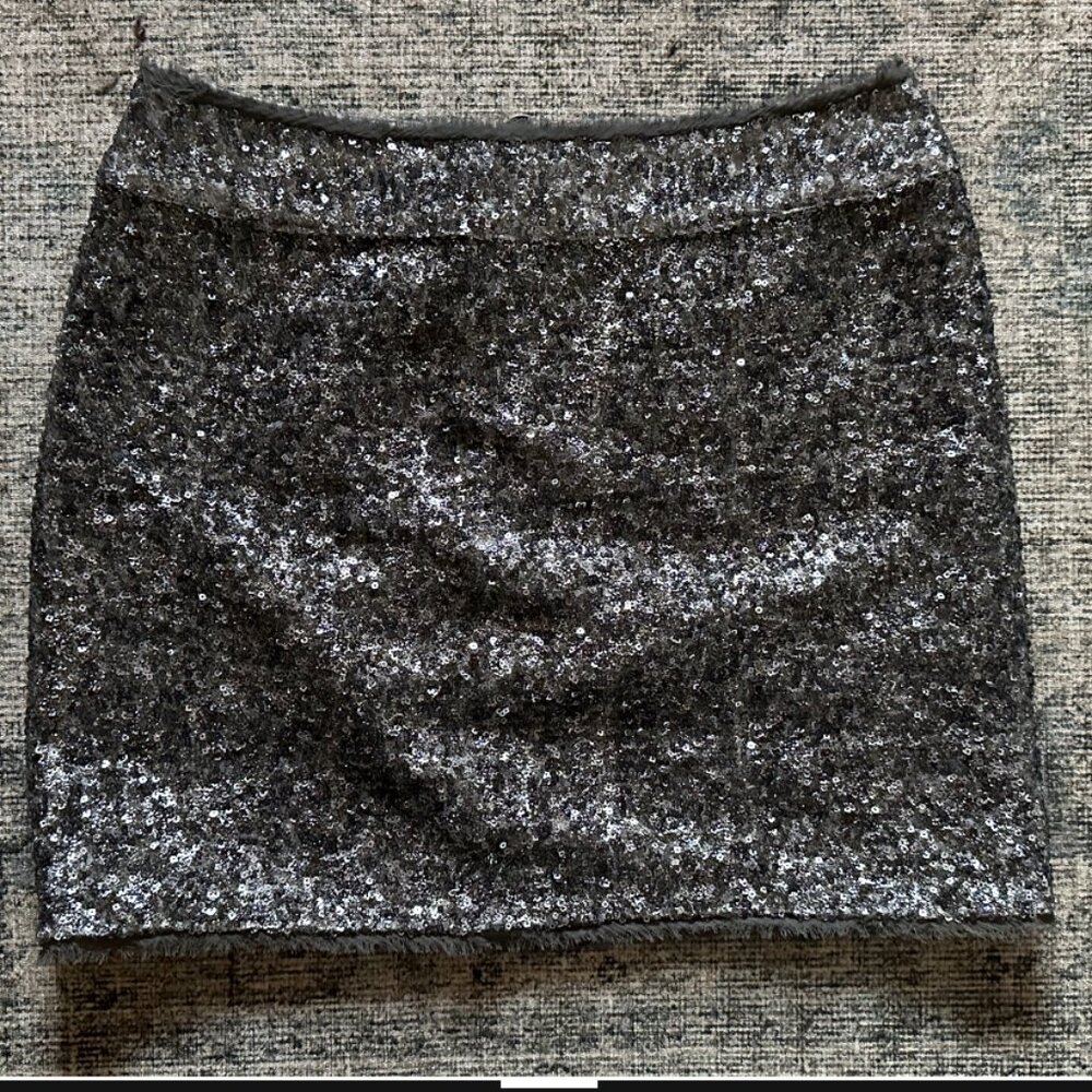 Zadig and Voltaire Sequin Skirt